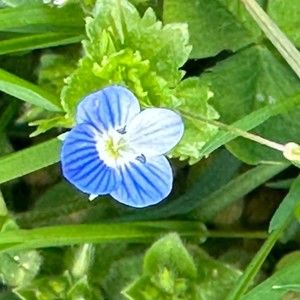 Meet your Posher, Em